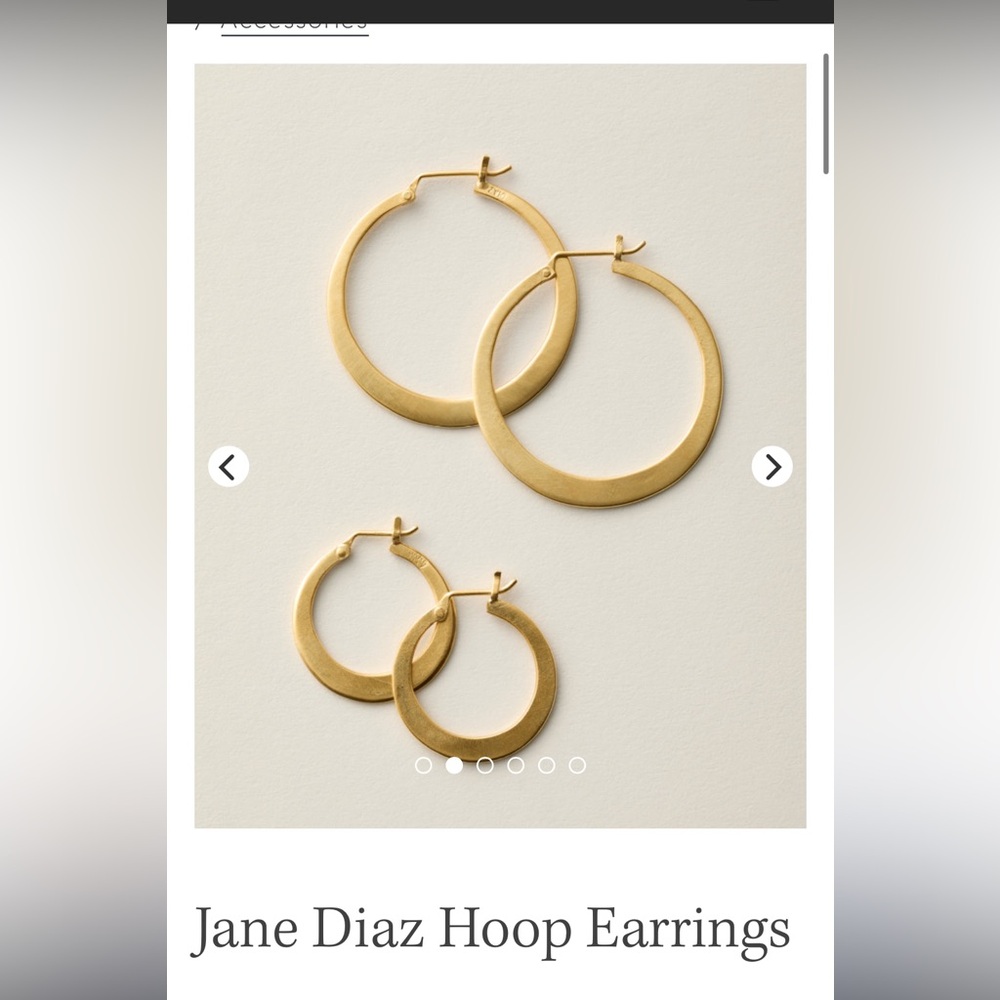 Jane Diaz hoop earrings